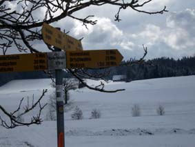 Spaziergang nach Bern